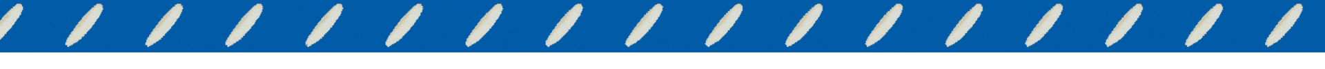 rice bg